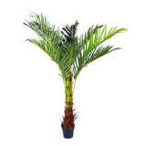 NNEDSZ 180cm Phoenix Palm - Artificial Plant, Home Decor Flora