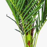 NNEDSZ 180cm Phoenix Palm - Artificial Plant, Home Decor Flora