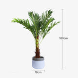 NNEDSZ 180cm Phoenix Palm - Artificial Plant, Home Decor Flora