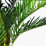 NNEDSZ 180cm Phoenix Palm - Artificial Plant, Home Decor Flora