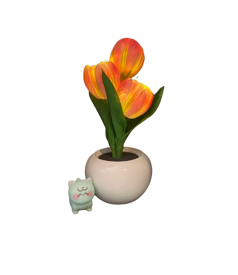 NNEOBA Tulip Table Lamp