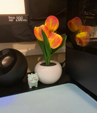 NNEOBA Tulip Table Lamp