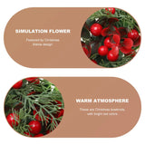 NNEOBA Winter Berry Christmas Wreath - Large Eucalyptus Garland
