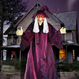 NNEOBA Voice-Activated Glowing Witch Ghost Halloween Decor