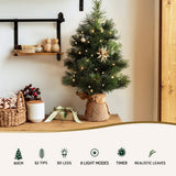 NNEDSZ Tabletop Christmas Tree 60CM 8 Light Modes Timer Function