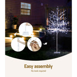 NNEDSZ 1.5M Christmas Tree 304 LED Solar Jingle Jollys