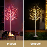NNEDSZ 1.7M Christmas Tree 120 RGB LED Lights Jingle Jollys