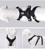 Whinhyepet Dog Harness - Black, XS-1858680822958264323