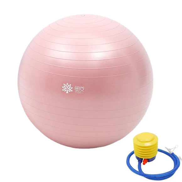 NNEOBA Yoga Ball Anti-Burst with Pump Stability & Balance