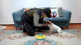 NNETM Interactive Dog Puzzle Feeder Toy for IQ Training