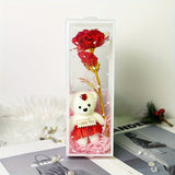 NNETM Enchanted Bear & Rose Gift Box for Special Occasions (Red)