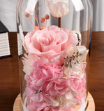 NNEOBA Preserved Rose in Glass Dome with Lights