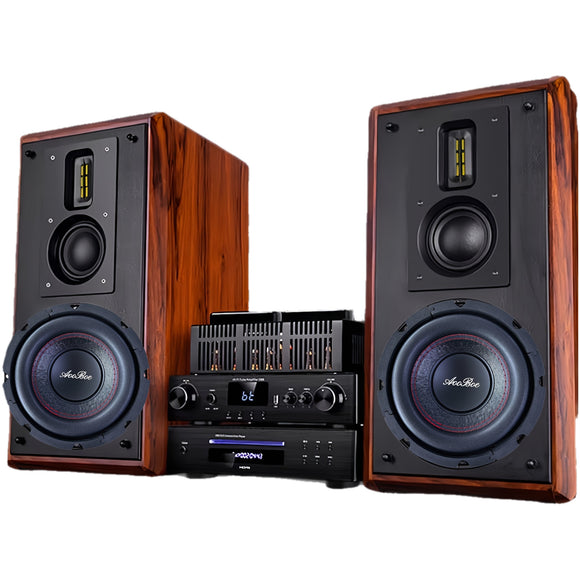 NNETM 220W Subwoofer Speaker for Home & Car