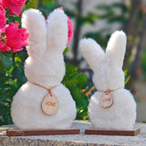 NNETM 2pcs Fluffy Bunny Easter Decoration Set