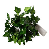 5M Artificial Leaf LED String Lights – 50 LED Warm White Battery-Powered Garland