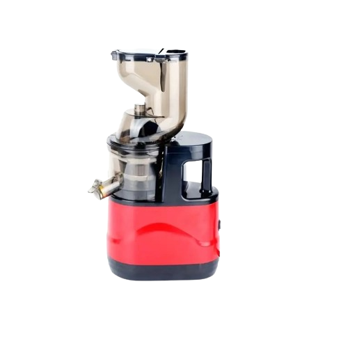 NNETM Fruits and Vegetables Slow Juicer
