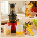 NNETM Fruits and Vegetables Slow Juicer