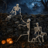 5.4FT Life-Size Human Skeleton Decoration – Adjustable