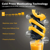 NNETM Fruits and Vegetables Slow Juicer