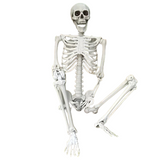 NNETM Faux Skeleton Sculpture: Spooky Halloween Decor