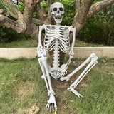 NNETM Faux Skeleton Sculpture: Spooky Halloween Decor