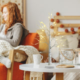 NNECW Lighted Tabletop Artificial Twig Birch Tree with 24 Warm White LED Lights for Christmas