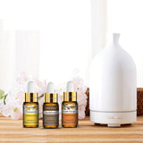 NNETM Premium Essential Oils Set for Diffuser (15pcs x 5ml)