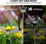 NNETM Double the Christmas Sparkle: Solar Firework Lights