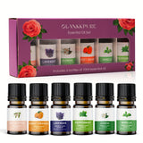 NNETM Aromatherapy Glass Bottles Essential Oil Set of 6
