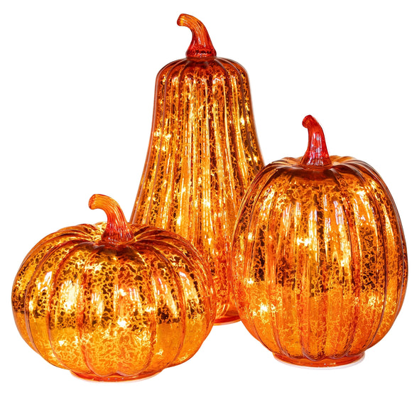 NNETM Lighted Pumpkins with Warm White Glow (Set of 3)