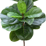 NNEDSZ Tall Artificial Fiddle Leaf Fig 170cm