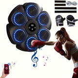 NNETM Musical Wall Boxing Target Training Machine