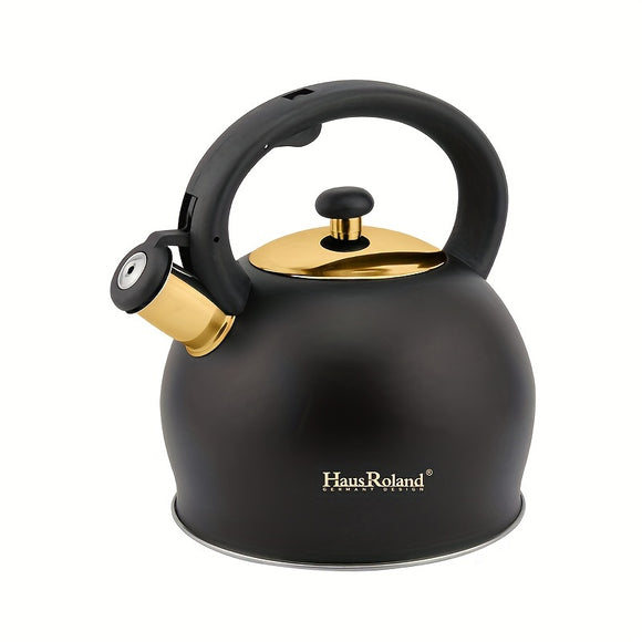 NNETM Kettle for Stainless Steel All Stovetops
