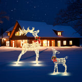 NNECW Pre-lit 50 LED Christmas Reindeer Decoration for Small Yard