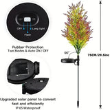 NNETM Twinkling Solar Christmas Tree Lights: A Festive Duo