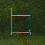 NNETM Dog Agility Training Set for Pets