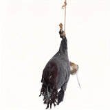 NNETM Halloween Hanging Skull Decoration LED with Sound