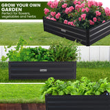 NNEDPE Garden Bed 100 x 60 x 30cm Galvanized Steel - Black