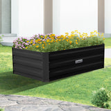 NNEDPE Garden Bed 100 x 60 x 30cm Galvanized Steel - Black