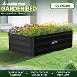 NNEDPE Garden Bed 100 x 60 x 30cm Galvanized Steel - Black