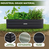 NNEDPE Garden Bed 120 x 60 x 30cm Galvanized Steel - Black