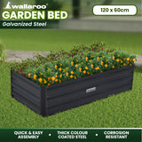 NNEDPE Garden Bed 120 x 60 x 30cm Galvanized Steel - Black