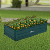 NNEDPE Garden Bed 120 x 60 x 30cm Galvanized Steel - Green
