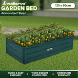 NNEDPE Garden Bed 120 x 60 x 30cm Galvanized Steel - Green