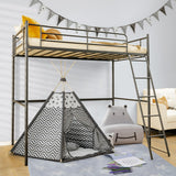 NNECW Heavy-duty Steel Bed Frame with High Guard Rails for Relaxation-Black