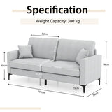 NNECW  2-seat Modern Home Sofa Couch with Armrest & Pillows for Living Room