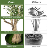 NNECW 182cm Artificial Olive Tree in Cement Pot with Leaves &amp; Fruits-1 piece