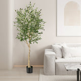NNECW 2-Pack Artificial Olive Tree with 1296 Leaves for Office