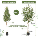 NNECW 2-Pack Artificial Olive Tree with 1296 Leaves for Office