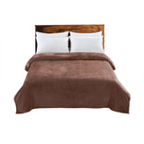 DreamZ 320GSM 220x160cm Ultra Soft Mink Single-1919892914738171904